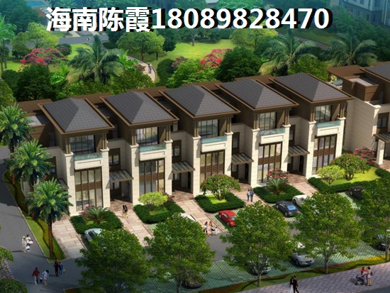 聊城在哪个地区公寓生纸大？