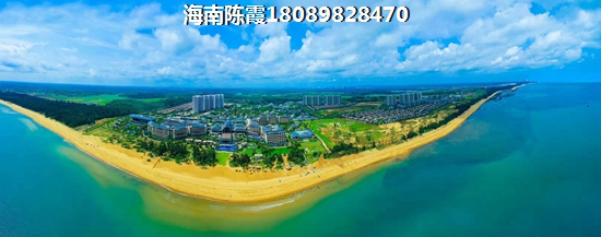 城市主人 两居  户型图
